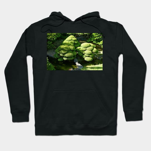 SF Japanese Tea Garden Study 6 Hoodie by bobmeyers